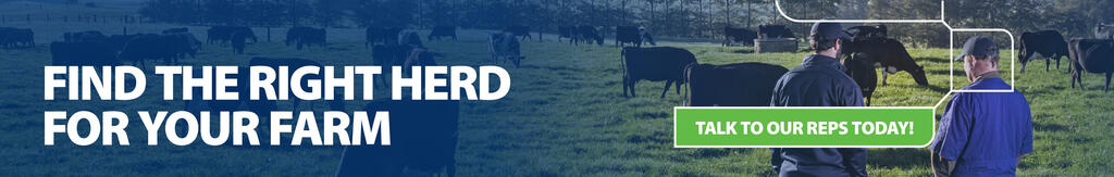 PGG Wrightson Dairy Herd Sales Learn More Now