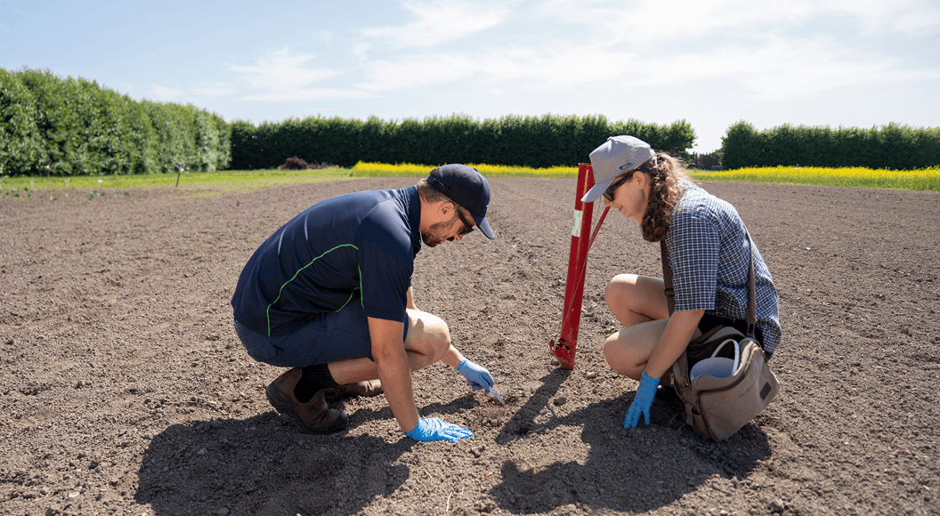 Chris Lambert and Laura Morgan at the Hastings Research Station.